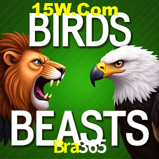 Bra365 Rio de Janeiro - Professional Dealers
